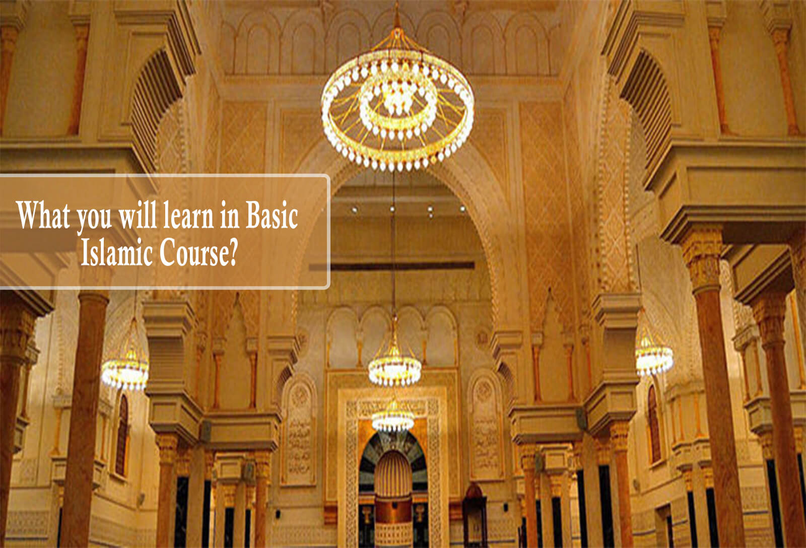 basic islamic courses